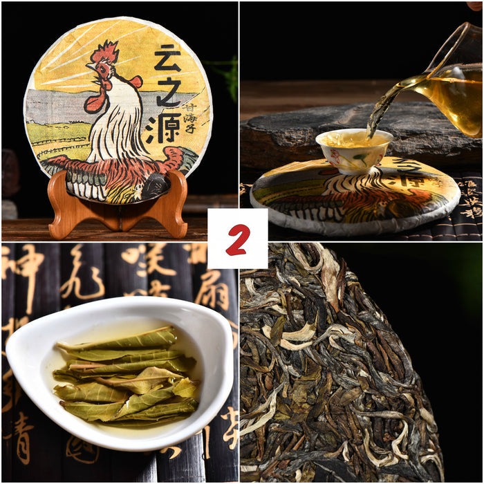 2017 Yunnan Sourcing "Autumn Jinggu" Raw Pu-erh Tea Sampler * Part 2 | Yunnan Sourcing Tea Shop