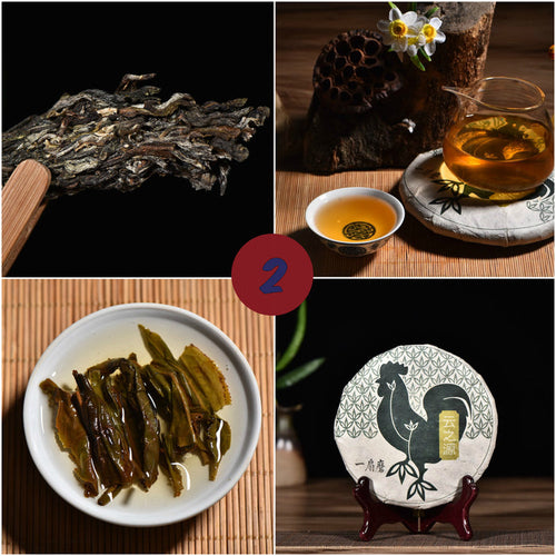 2017 Yunnan Sourcing "Autumn Yi Wu" Raw Pu-erh Tea Sampler * Part 2 | Yunnan Sourcing Tea Shop
