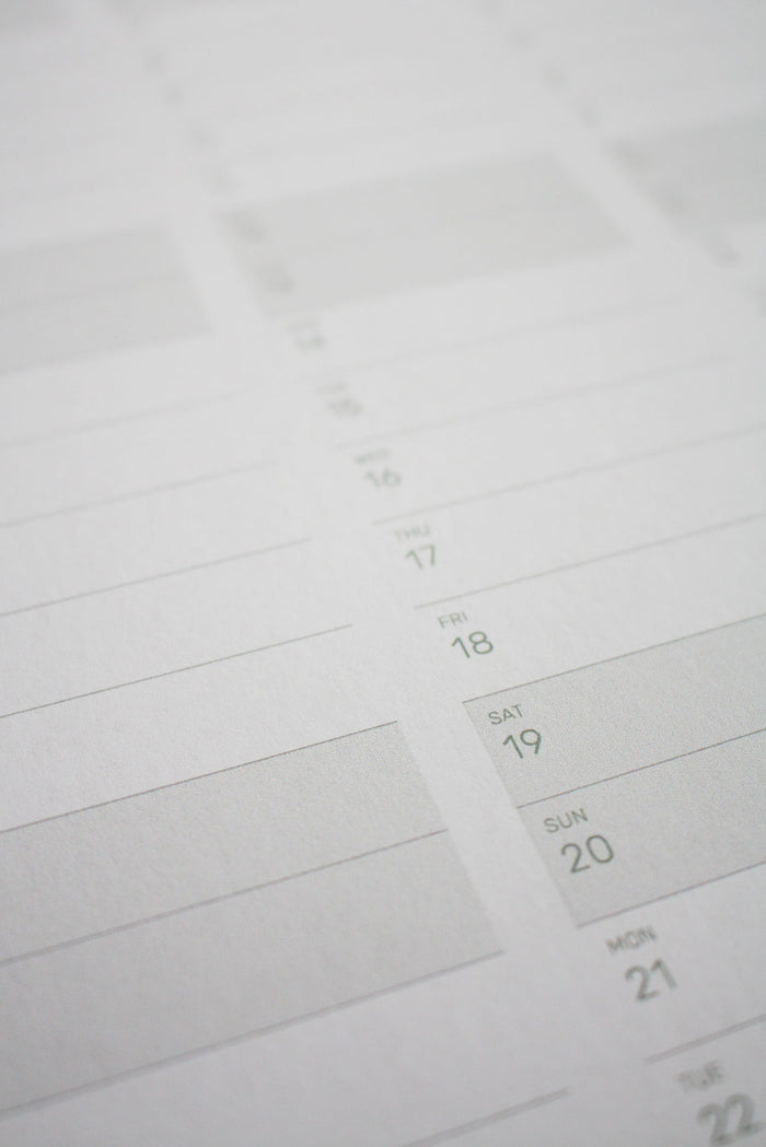 2026 Year Calendar A1 Size - PDF download - 13 months