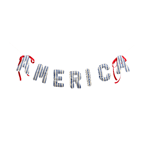 My Mind’s Eye America Ticking Linen Puffy Banner