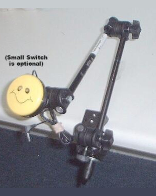 articulating arm