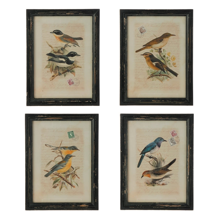 Botanical Bird Print - Framed (19")