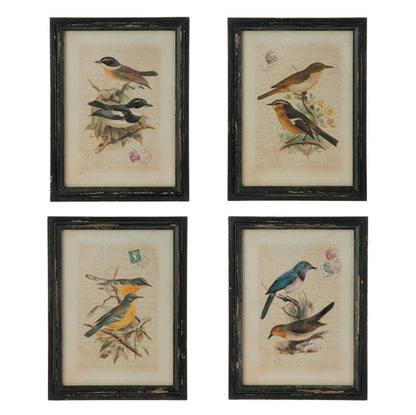 Botanical Bird Print - Framed (19")