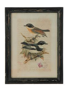 Botanical Bird Print - Framed (19")
