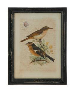 Botanical Bird Print - Framed (19")