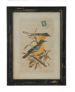 Botanical Bird Print - Framed (19")