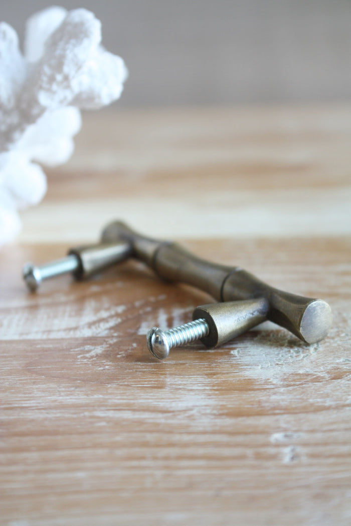 Brass Bamboo Cabinet Pull / Handle - Medium