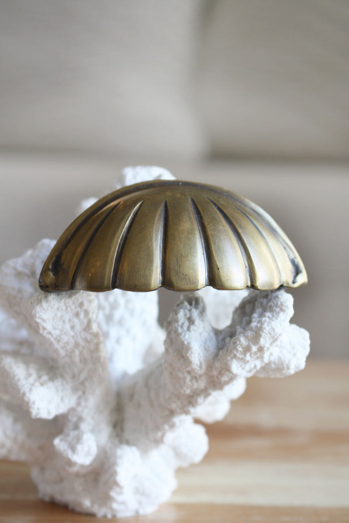 Brass Hamptons Shell Cabinet Pull / Handle