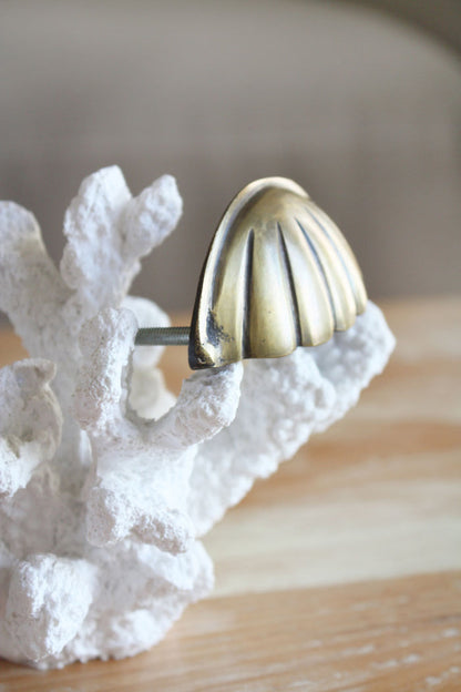 Brass Hamptons Shell Cabinet Pull / Handle
