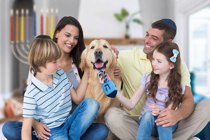 "Chewdaica" Dreidel Squeaky Dog Toy with Rope