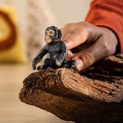 Chimpanzee Cub