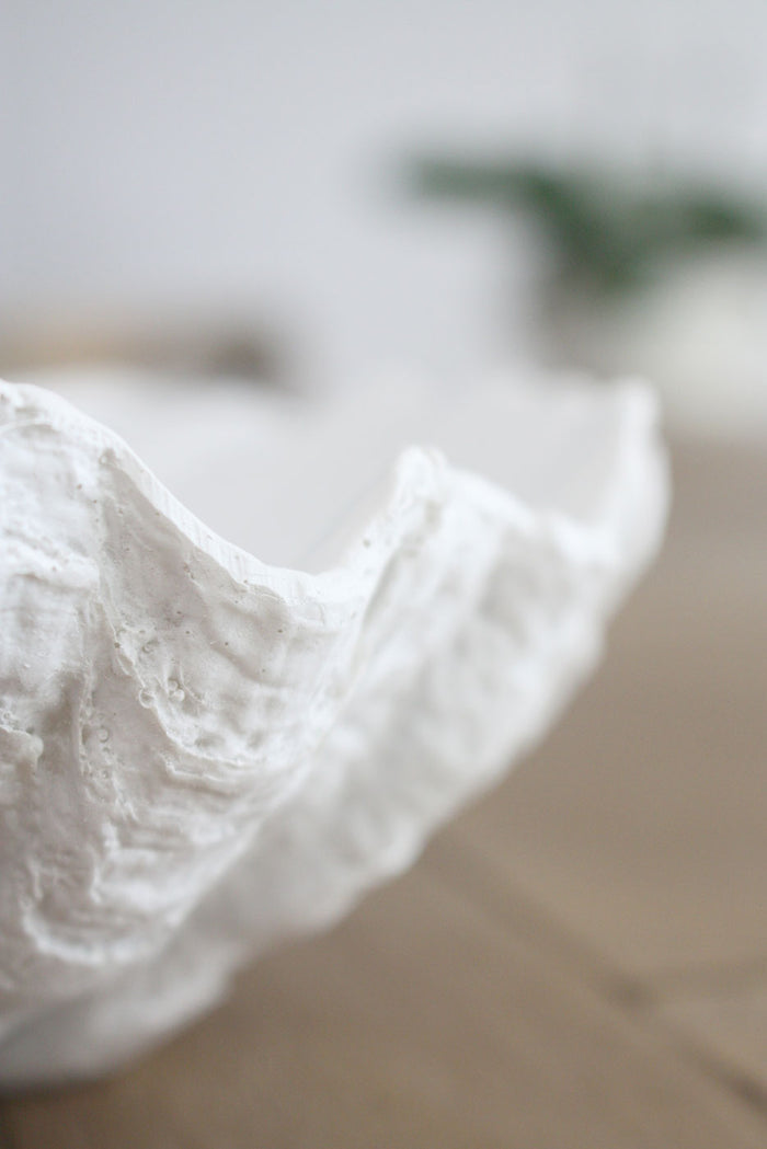 Clam Shell White XSmall 24cm Wide - Resin