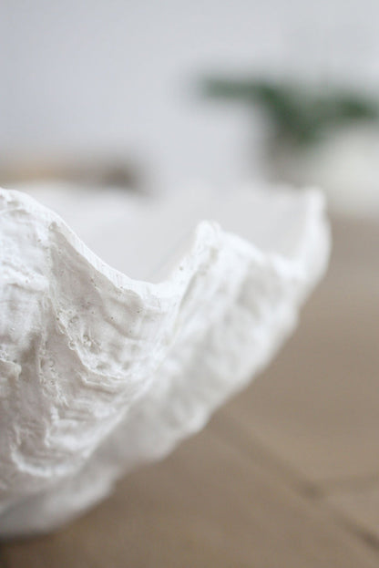 Clam Shell White XSmall 24cm Wide - Resin