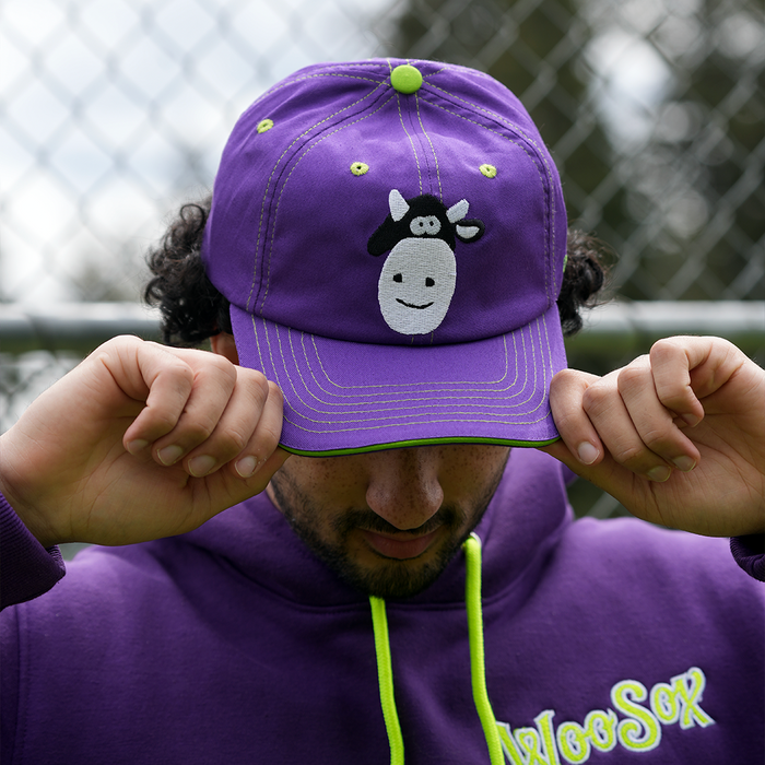 [ Dinosaur Jr. X Worcester Red Sox ] The Poppy