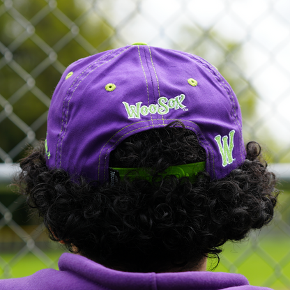 [ Dinosaur Jr. X Worcester Red Sox ] The Poppy