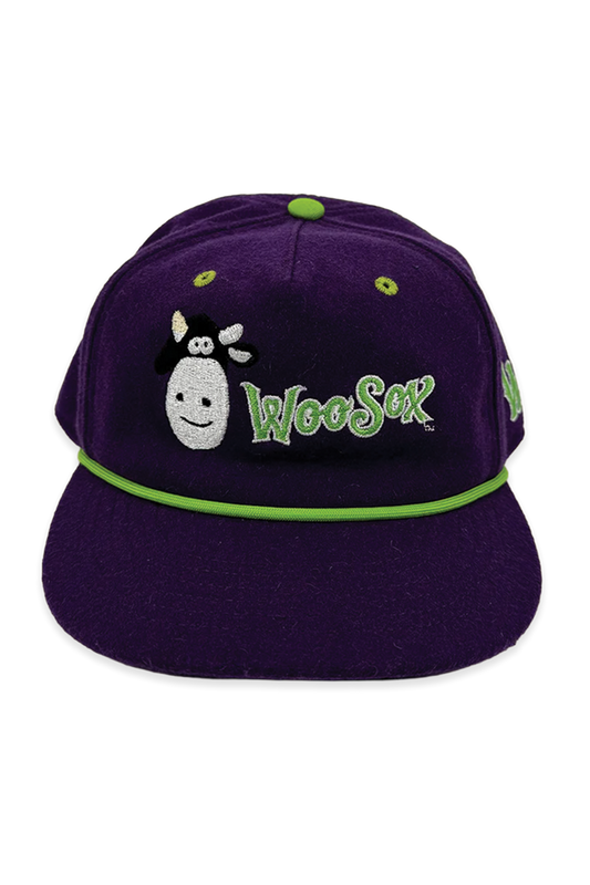 [ Dinosaur Jr. X Worcester Red Sox ] The Wooly