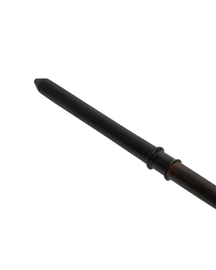 Draco Malfoy's Wand