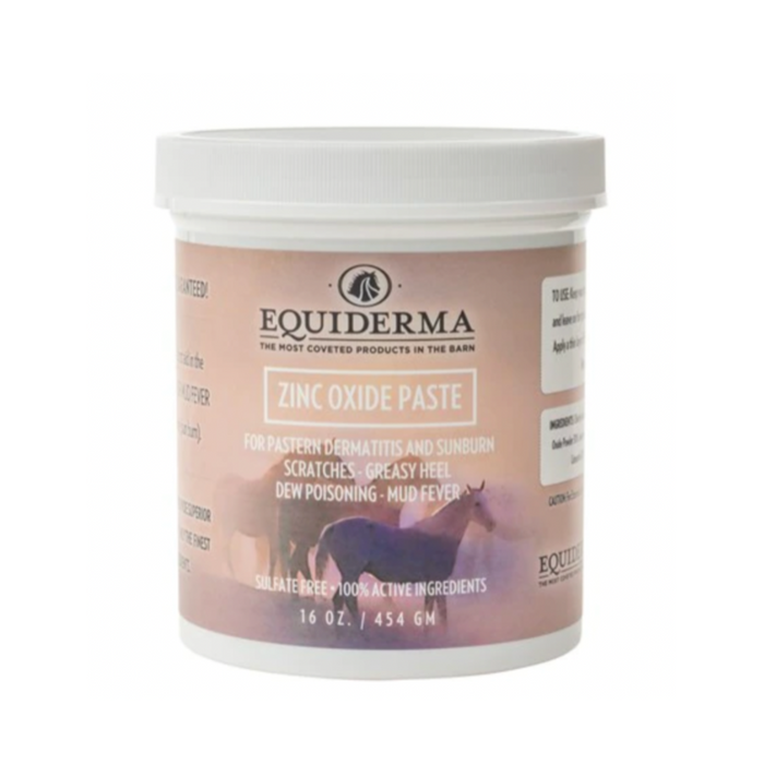 Equiderma Zinc Oxide Paste - 16oz