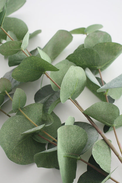 Faux Silver Dollar Eucalyptus Leaf Spray 87cm