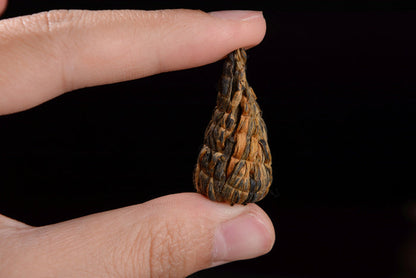 Hand-Made Flowering Black Tea Cones from Feng Qing | Yunnan Sourcing Tea Shop