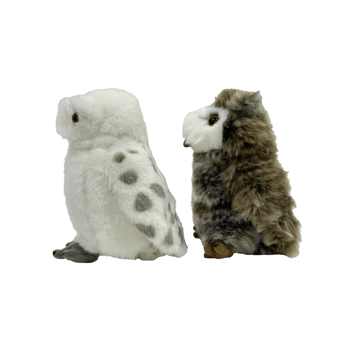 Hedwig and Pigwidgeon Plush Set