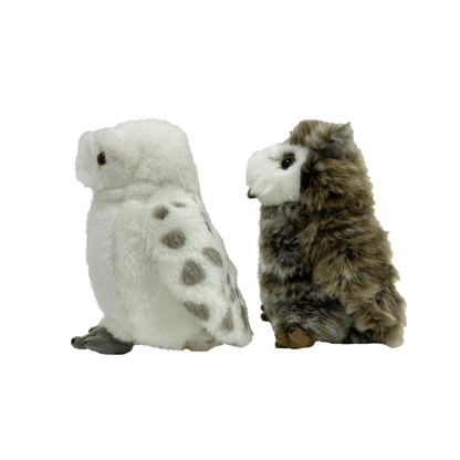 Hedwig and Pigwidgeon Plush Set