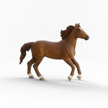 Horse Club Hannah & Cayenne- New Edition