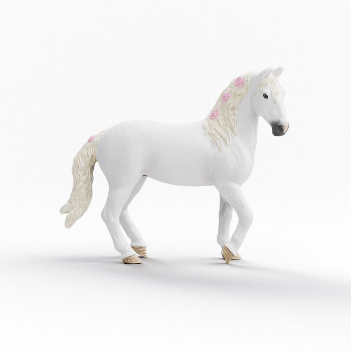 Horse Club Sofia & Blossom- New Edition