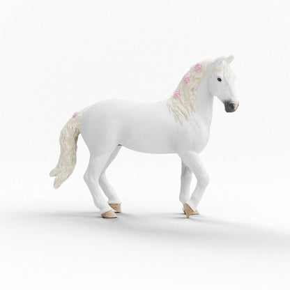 Horse Club Sofia & Blossom- New Edition