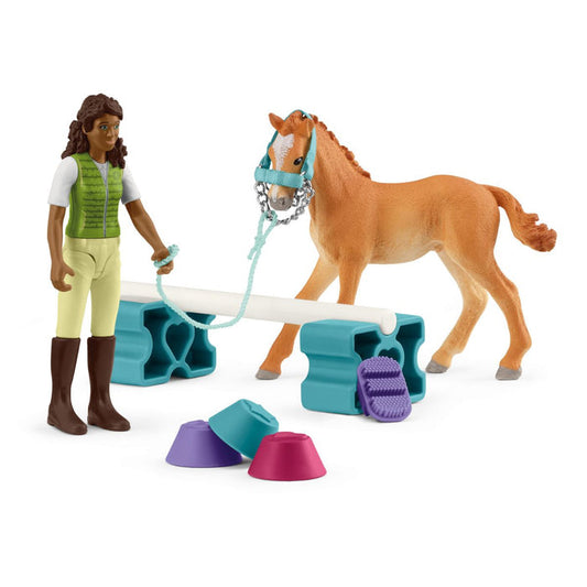 Horse Training with Tennessee Walker Foal