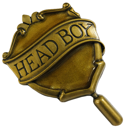 Hufflepuff Head Boy Pin