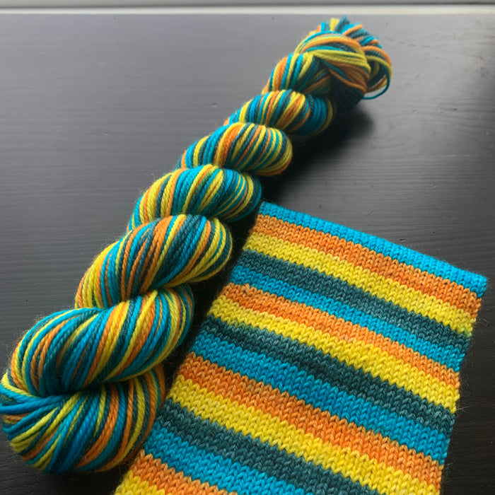50 Gram Mini - Walk In The Park - Self Striping Merino Nylon Sock