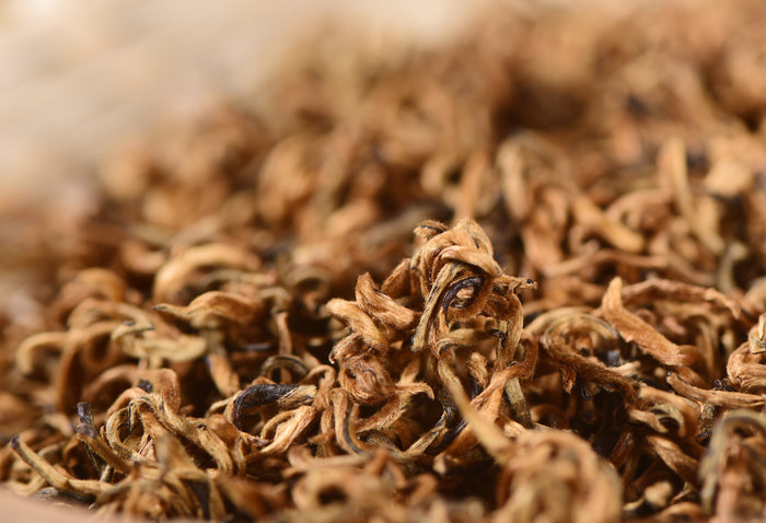 Imperial Mojiang Golden Bud Yunnan Black Tea | Yunnan Sourcing Tea Shop