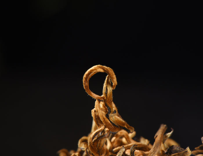 Imperial Pure Bud Yunnan Black Tea of Simao | Yunnan Sourcing Tea Shop
