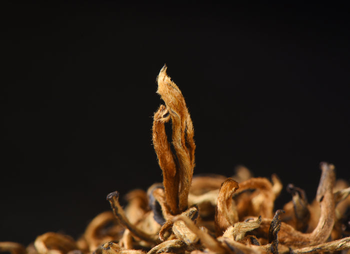 Imperial Pure Bud Yunnan Black Tea of Simao | Yunnan Sourcing Tea Shop