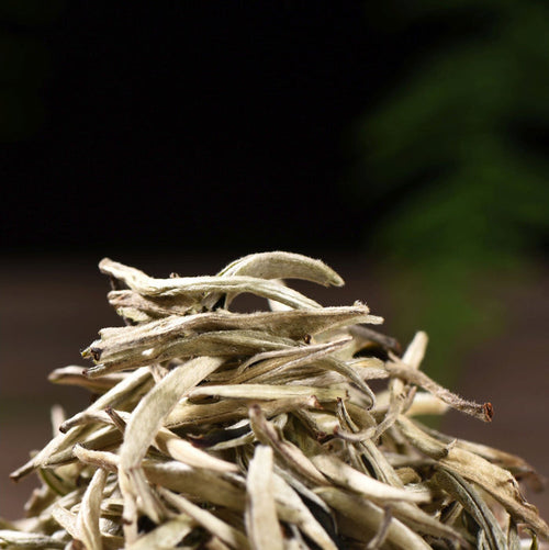 Jing Gu White Pekoe Silver Needles White Tea