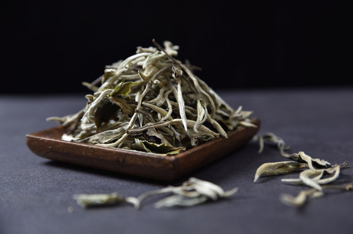 Jing Gu Yang Ta Yunnan Bai Mu Dan White Tea | Yunnan Sourcing Tea Shop