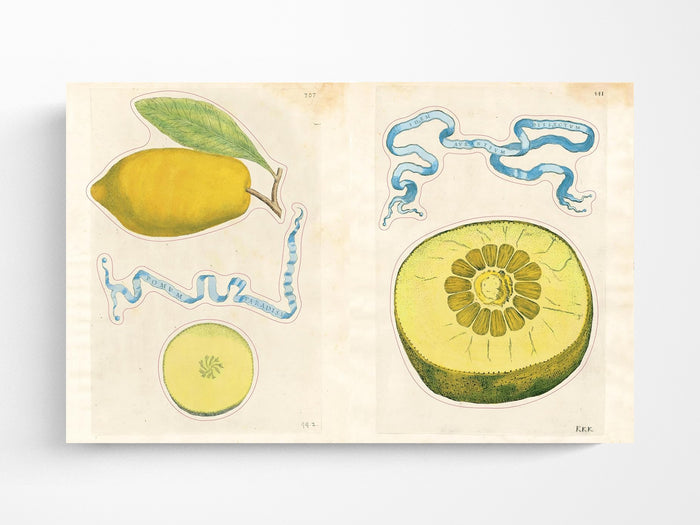 John Derian Sticker Book II