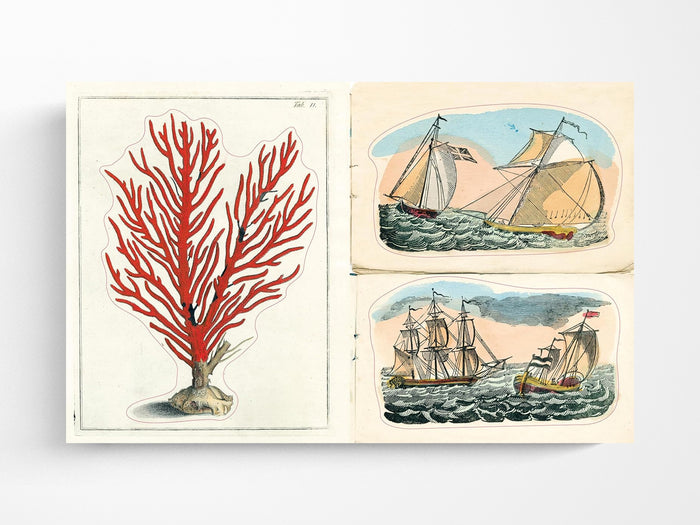 John Derian Sticker Book II