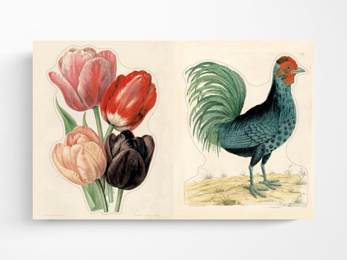 John Derian Sticker Book II