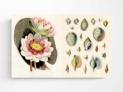 John Derian Sticker Book II