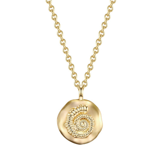 Kette MUSCHEL gelbgold