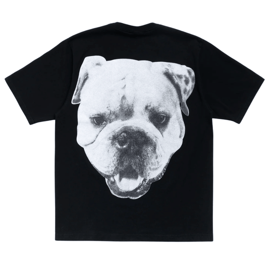 Koszulka Stussy Big Dog Washed Tee Black STUSSY Koszulki