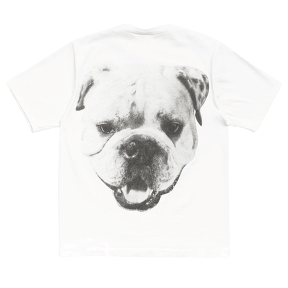 Koszulka Stussy Big Dog Washed Tee White STUSSY Koszulki