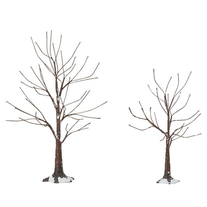 Landscape Trees Snow Road
