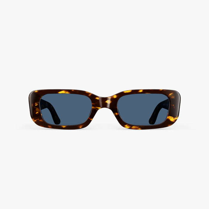 Tortoise / Dusk Lens