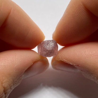 Mozambique Zircon