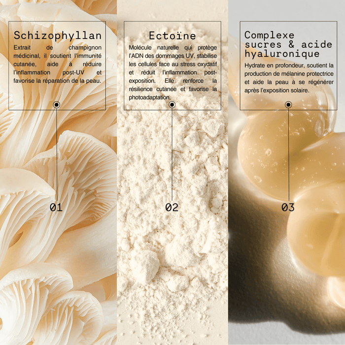 N°7 Recharge - Sun Defense - Mono Skincare