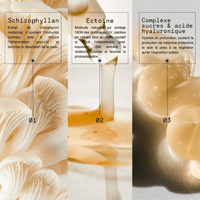 N°7 Sun Defense - Mono Skincare