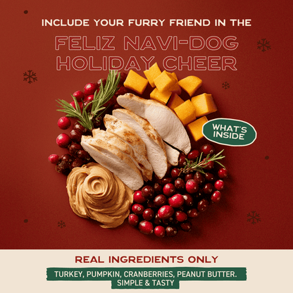 Pawliday Treat Bundle